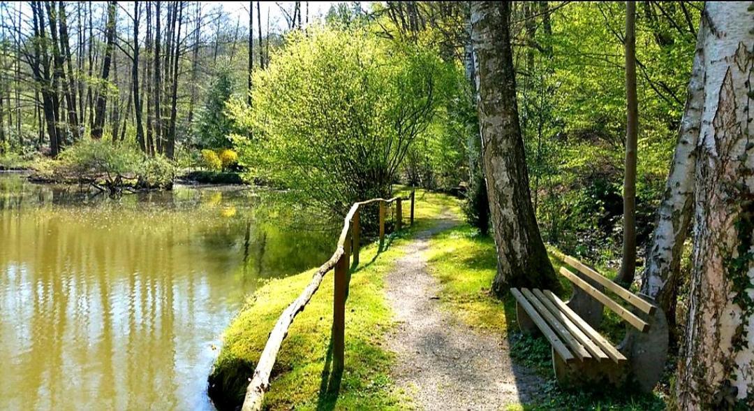Ferienwohnung Am Waldsee Mit Schwimmbad แกร์นสบาค ภายนอก รูปภาพ