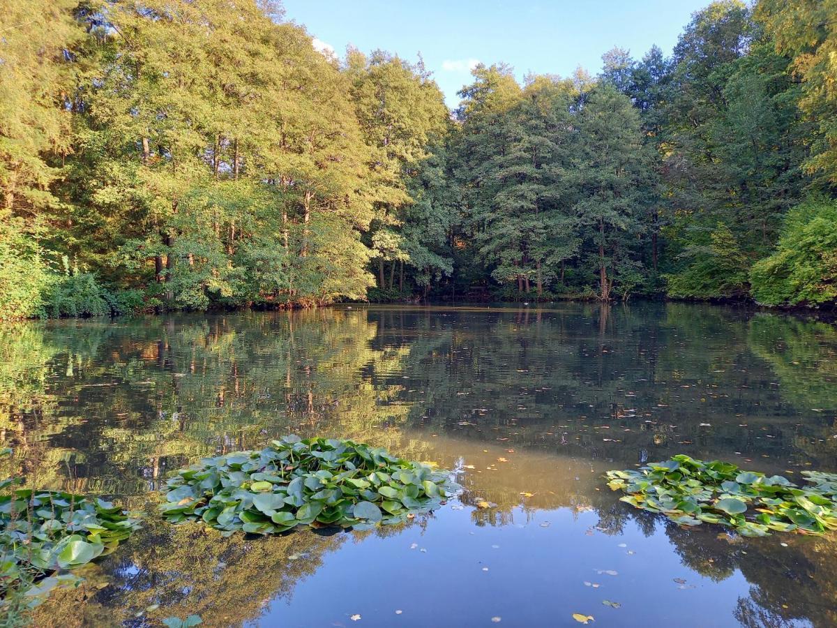 Ferienwohnung Am Waldsee Mit Schwimmbad แกร์นสบาค ภายนอก รูปภาพ